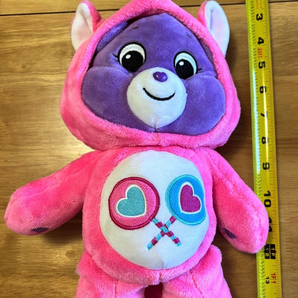 Care Bears 12" Share Bear Unicorn 2021 Hoodie Friends Collectors Plush